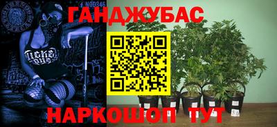 молекула духа Нальчик