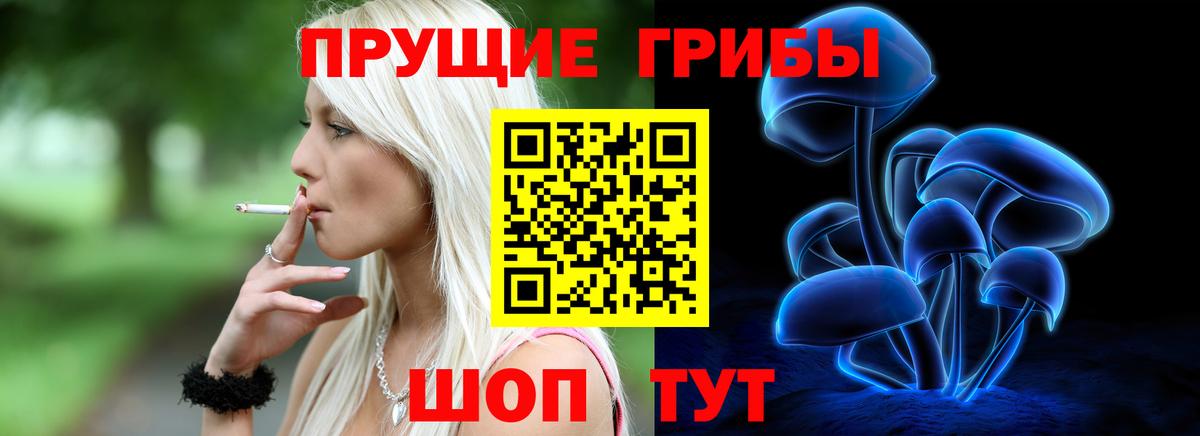 купить   Вход с VPN  Псилоцибиновые грибы MAGIC MUSHROOMS  Вышний Волочёк  Псилоцибиновые грибы Magic Shrooms 