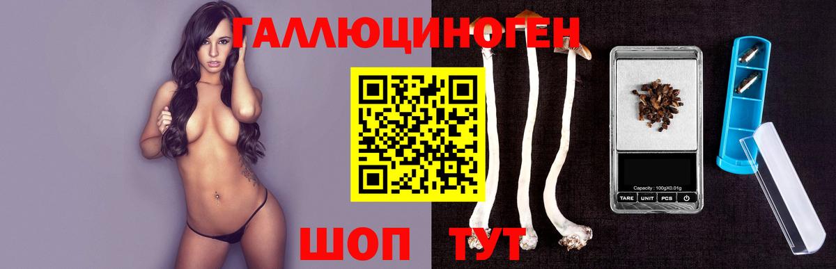 Галлюциногенные грибы мицелий Вышний Волочёк